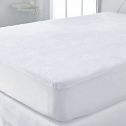Mattress protector TODAY...